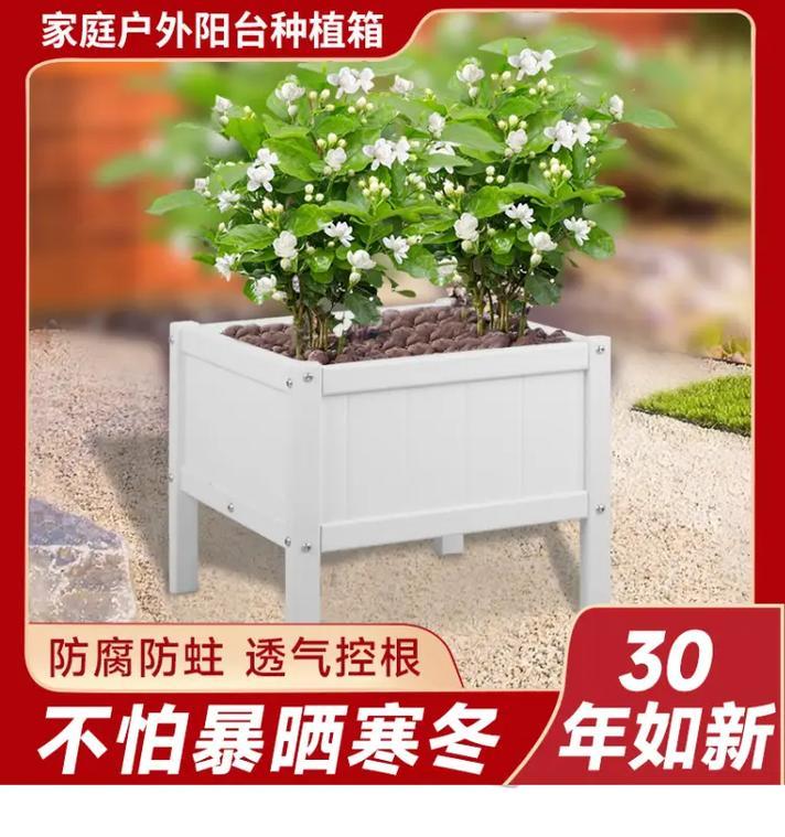 梳子草播种的最佳方法是什么？