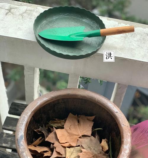 自制水缸荷叶肥料的方法是什么？