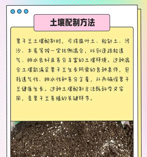 人为制造君子兰温差的方法有哪些？