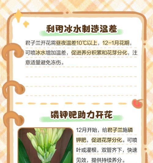 人为制造君子兰温差的方法有哪些？