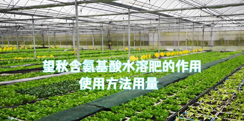 如何自制安基酸水肥料？自制肥料的好处是什么？