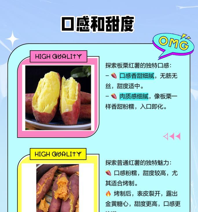 板栗番薯栽培技术要点有哪些？如何提高产量？