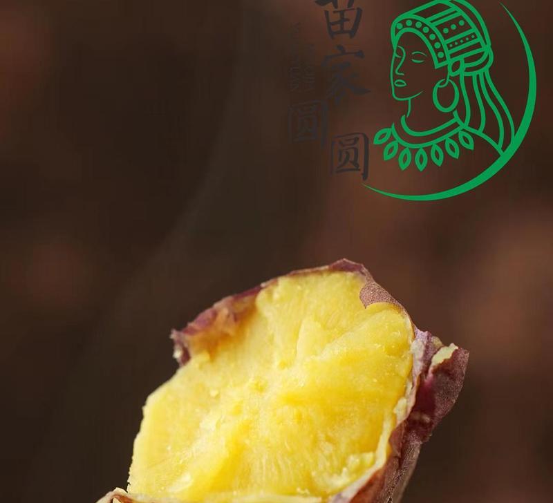 板栗番薯栽培技术要点有哪些？如何提高产量？
