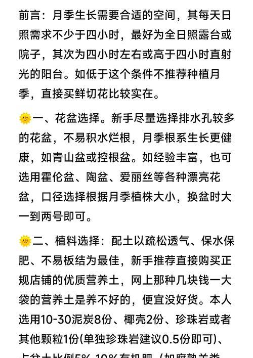 月季粗度的正确养护方法是什么？
