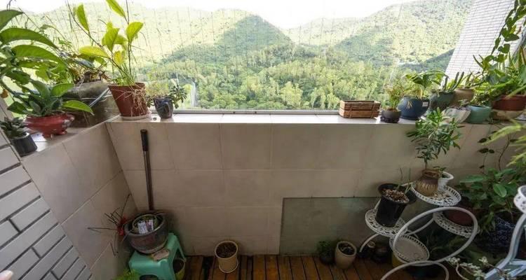 深圳阳台适合种植哪些花卉？