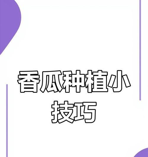香瓜的最佳播种时间是什么时候？