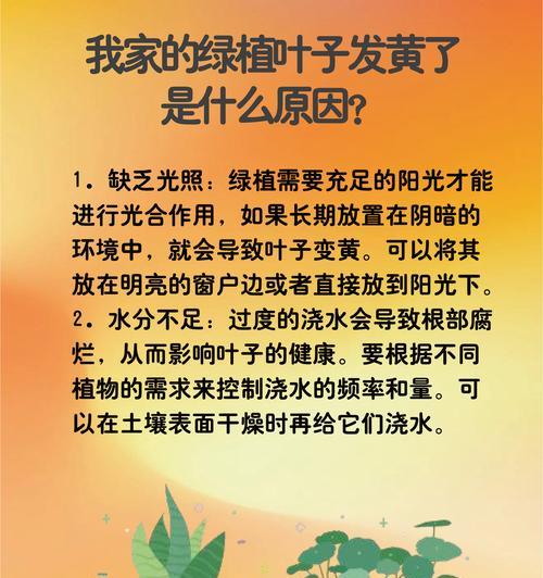五针松叶子中间发黄的可能原因是什么？