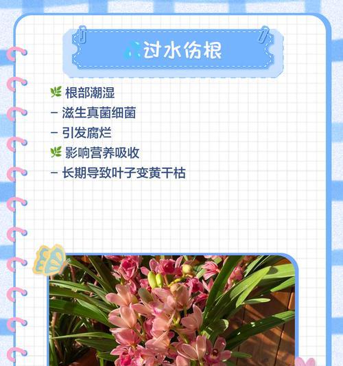 铃兰叶子发干发黄如何处理？有哪些有效措施？