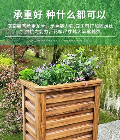 天竺葵压茬存活率最高的方法是什么？