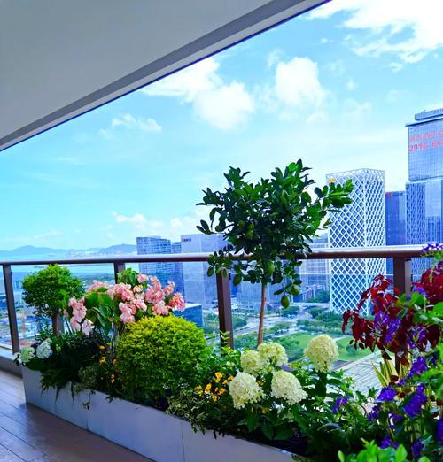 杭州阳台花箱种什么植物？如何选择适合杭州气候的植物？