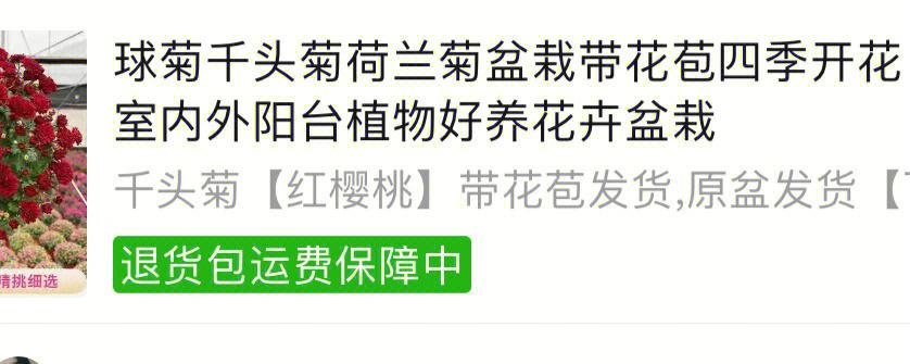 目前有哪些品类暂时不能播种？