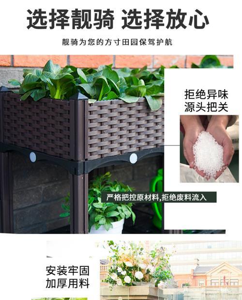 瞿麦花的栽培技术要点有哪些？有哪些栽培技巧需要注意？