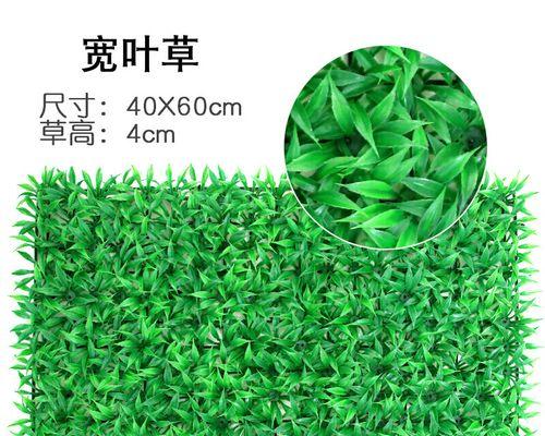 宽叶草叶子发黄干叶怎么办？如何诊断和解决宽叶草的问题？