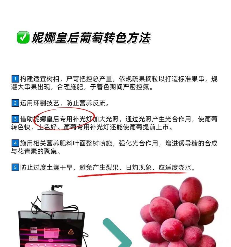 大粒葡萄栽培技术要点是什么？如何提高产量？
