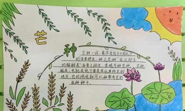 野菜播种的最佳季节是什么时候？如何安排播种时间？