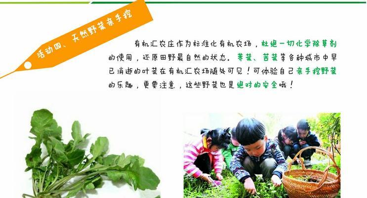 野菜播种的最佳季节是什么时候？如何安排播种时间？