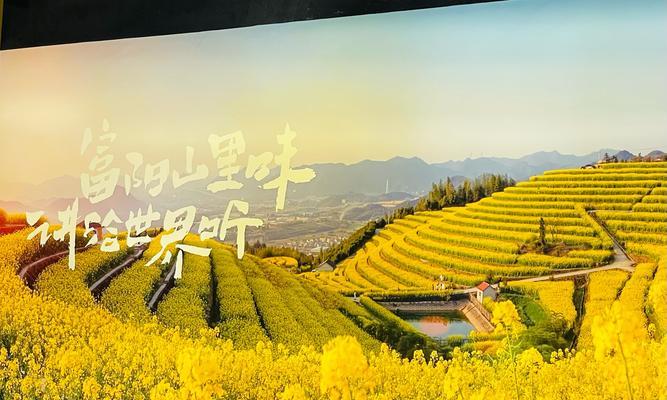 野菜播种的最佳季节是什么时候？如何安排播种时间？