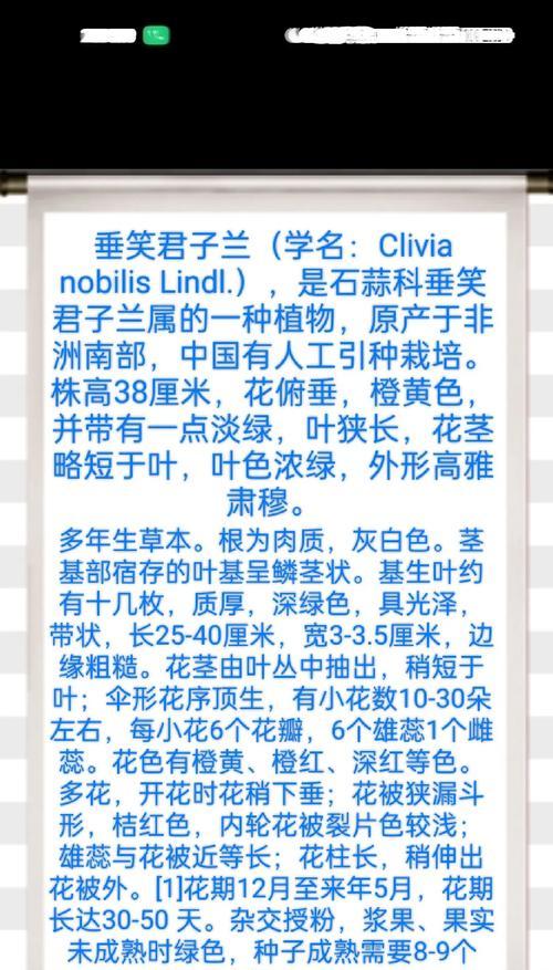 如何判断君子兰的花色是否丰富？
