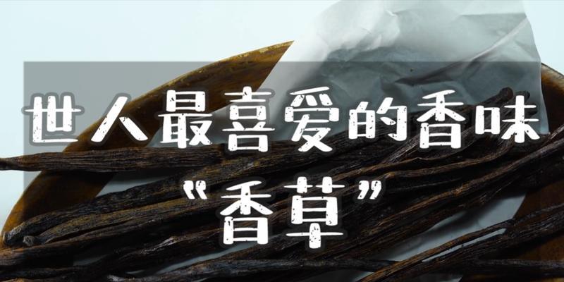植物类香草有哪些品种的？各自的特性是什么？