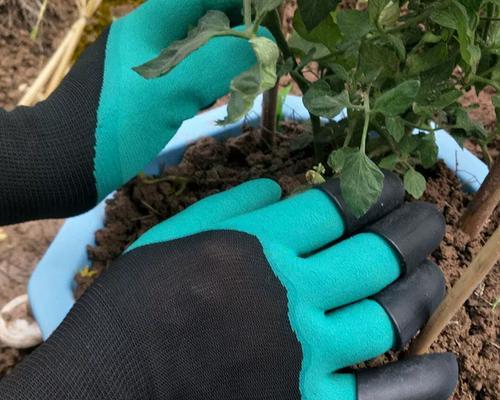 月季种植工具的正确使用方法是什么？