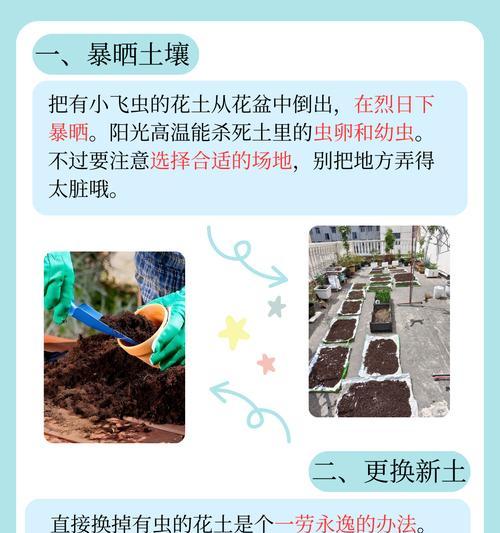自制飞虫液肥料的步骤是什么？这种肥料对植物有何益处？