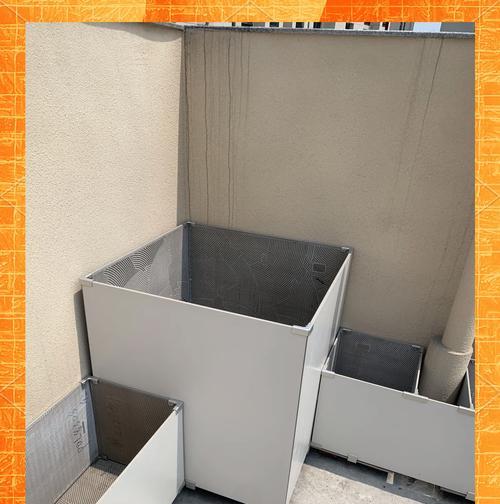 红色黄花蕊月季的养护技巧是什么？