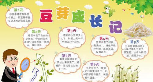 豆芽叶子发黄是什么原因？如何解决？