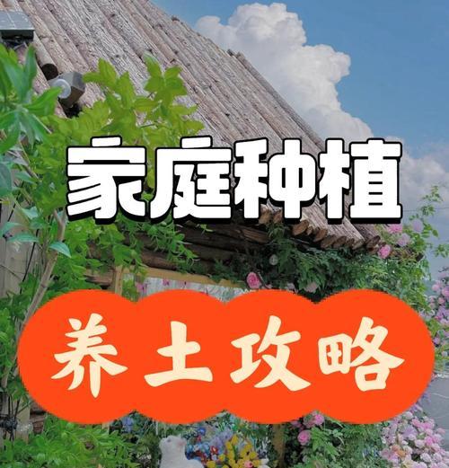 家庭园艺中有哪些精品栽培技术？