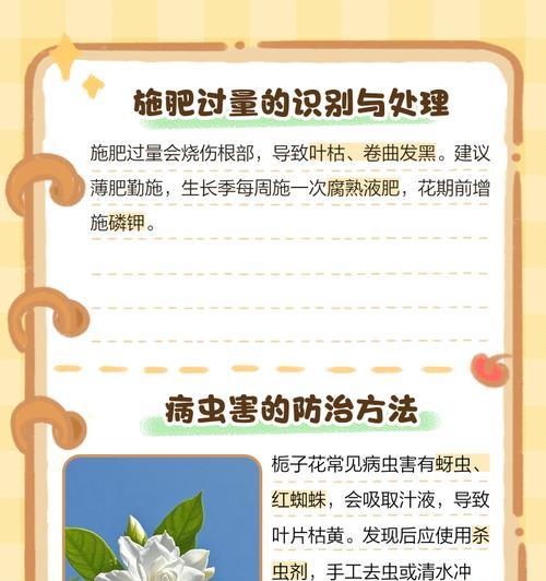 栀子花倒盆后叶子发黄的原因是什么？