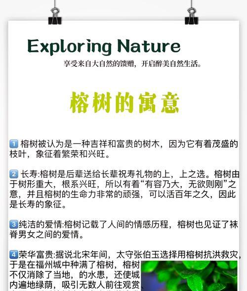 落地生根叶子发黄萎缩的原因是什么？