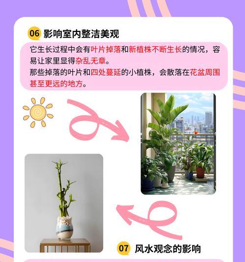 落地生根叶子发黄萎缩的原因是什么？