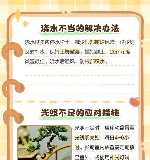 落地生根叶子发黄萎缩的原因是什么？