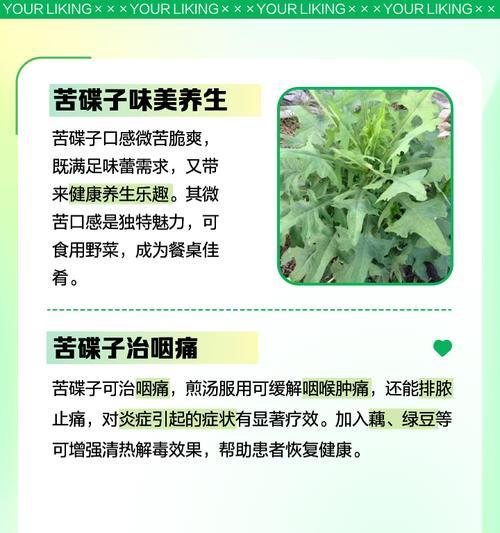 苦蝶菜栽培的关键技术要点是什么？