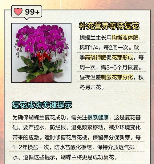 花卉软弱叶子发黄的处理方法是什么？