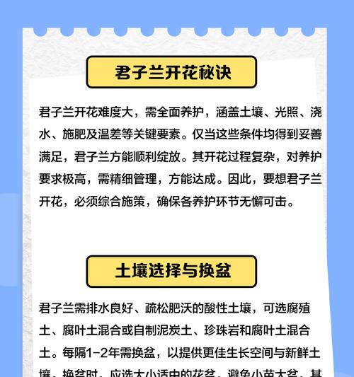 君子兰如何繁殖？怎样才能让君子兰长出更多的小苗？