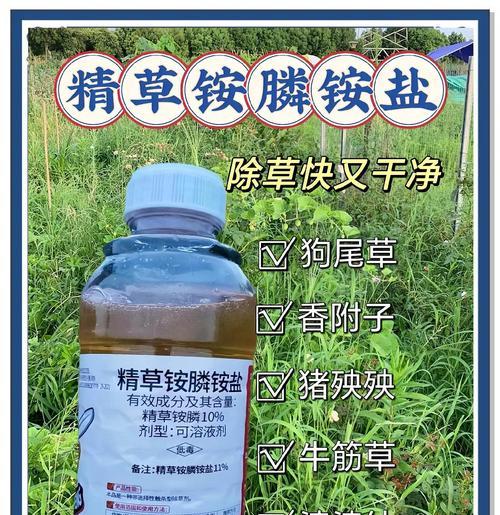 杂草栽培的技术要点是什么？