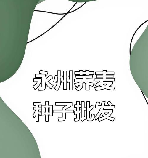 乔麦种子的最佳播种时间是什么时候？