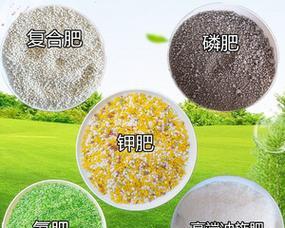 家庭自制丝瓜肥料的配方是什么？