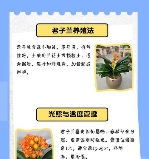 君子兰开花多需要哪种肥料？