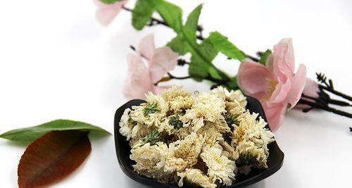 贡菊叶子发黄的原因？如何防治？