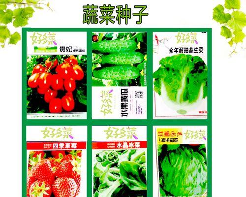 冰菜的最佳播种季节是什么时候？
