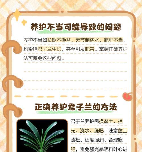 水培君子兰如何养根？有哪些有效的养根方法？