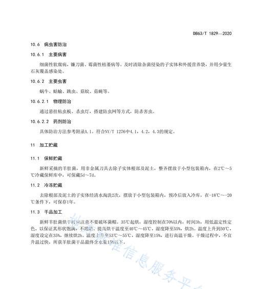 林下菌种栽培的关键技术要点是什么？如何提高栽培成功率？