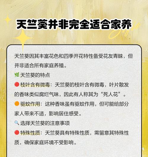 天竺葵养不活怎么办？正确养护方法是什么？
