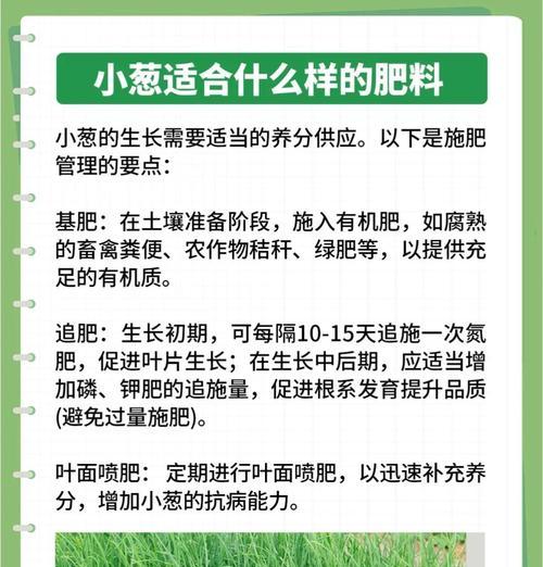 自制小葱盆栽肥料的简单方法是什么？