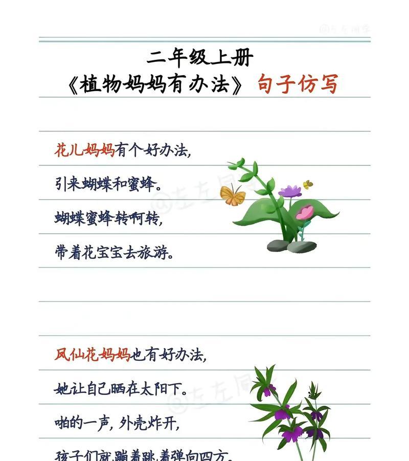 哪些植物的种子可以通过水流传播？