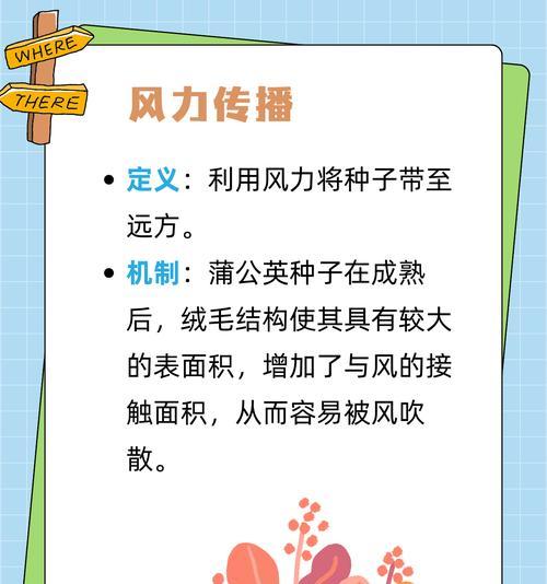 哪些植物的种子可以通过水流传播？