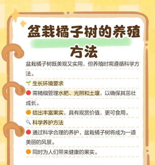盆景橘子树的养护方法？如何保持健康生长？
