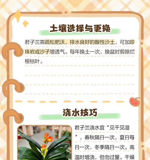君子兰怎么才能使叶子变绿？君子兰叶子变绿的方法是什么？