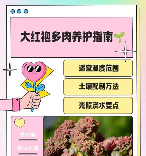 大红袍铁线莲开花秘诀是什么？
